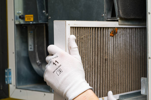 Best Ventilation Cleaning Services  in Gainesville, FL