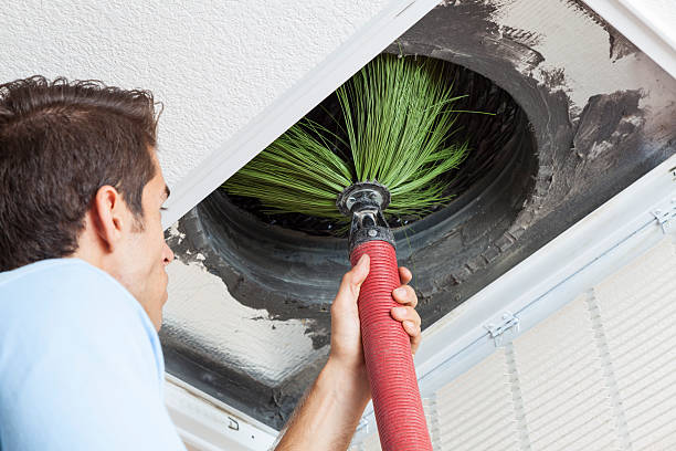 Best Home Air Vent Cleaning  in Gainesville, FL